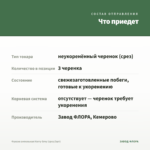 Фуксия ампельная Harry Grey (срез/3шт) — что приедет