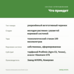 Фуксия ампельная Lenny Erwin (0,1л) — что приедет