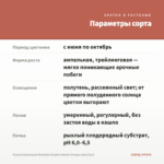 Фуксия Ампельная Marbeller Double Salmon Orange (срез/3шт) — параметры сорта