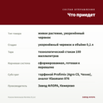 Фуксия Ампельная Marinka (0,1л) — что приедет