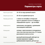 Фуксия Ампельная Marinka (0,1л) — параметры сорта