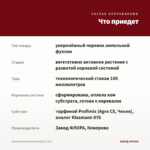 Фуксия Ампельная Marinka (0,1л) — что приедет
