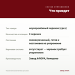 Фуксия Ампельная Marinka (срез/3шт) — что приедет