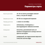 Фуксия Ампельная Marinka (срез/3шт) — параметры сорта