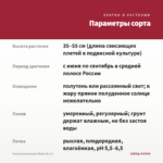 Фуксия Ампельная Multa (0,1л) — параметры сорта