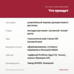 Фуксия Ампельная Multa (0,1л) — что приедет