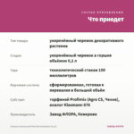 Фуксия ампельная Pink Marshmallow (0,1л) — что приедет