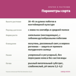 Фуксия ампельная Pink Marshmallow (0,1л) — параметры сорта