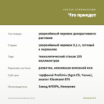 Фуксия Ампельная Quasar (0,1л) — что приедет