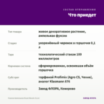 Фуксия Ампельная Royal Mosaic (0,1л) — что приедет