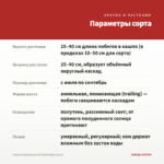 Фуксия Ампельная Sir Mat Busby (0,1л) — параметры сорта