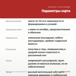 Фуксия ампельная Swingtime (0,1л) — параметры сорта