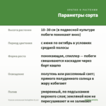 Фуксия ампельная Swingtime (0,1л) — параметры сорта