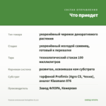 Фуксия ампельная Swingtime (0,1л) — что приедет