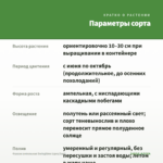 Фуксия ампельная Swingtime (срез/3шт) — параметры сорта