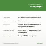 Фуксия ампельная Swingtime (срез/3шт) — что приедет