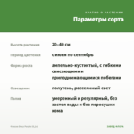 Фуксия Deep Purple (0,1л) — параметры сорта