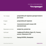 Фуксия Deep Purple (0,1л) — что приедет
