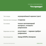 Фуксия Deep Purple (срез/3шт) — что приедет