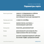 Фуксия Dulcie Elizabeth (0,1л) — параметры сорта