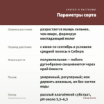 Фуксия Guurtje (0,1л) — параметры сорта