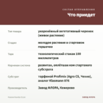 Фуксия Guurtje (0,1л) — что приедет