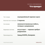 Фуксия Guurtje (срез/3шт) — что приедет