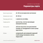 Фуксия Кустовая Bella Nikita (0,1л) — параметры сорта