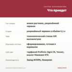 Фуксия Кустовая Bella Nikita (0,1л) — что приедет