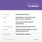 Фуксия Кустовая Bella Nikita (0,1л) — что приедет