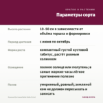Фуксия Кустовая Bella Soila (0,1л) — параметры сорта
