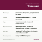 Фуксия Кустовая Bella Soila (0,1л) — что приедет