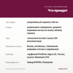Фуксия Кустовая Bella Soila (0,1л) — что приедет