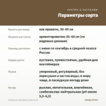 Фуксия кустовая Blush Candy (0,1л) — параметры сорта