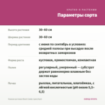 Фуксия кустовая Blush Candy (срез/3шт) — параметры сорта