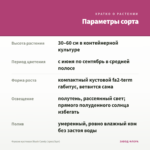 Фуксия кустовая Blush Candy (срез/3шт) — параметры сорта