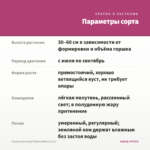 Фуксия Кустовая Gillian Anthea (0,1л) — параметры сорта