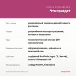 Фуксия Кустовая Gillian Anthea (0,1л) — что приедет