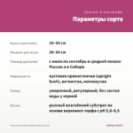 Фуксия Кустовая Gillian Anthea (0,1л) — параметры сорта