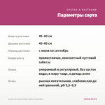 Фуксия Кустовая Gillian Anthea (срез/3шт) — параметры сорта