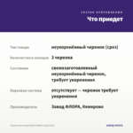 Фуксия Кустовая Gillian Anthea (срез/3шт) — что приедет