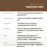 Фуксия кустовая Seventh Heaven (0,1л) — параметры сорта