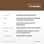 Фуксия кустовая Seventh Heaven (0,1л) — что приедет