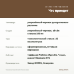 Фуксия кустовая Seventh Heaven (0,1л) — что приедет