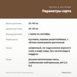 Фуксия кустовая Seventh Heaven (срез/3шт) — параметры сорта