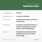 Фуксия Кустовая Southgate (0,1л) — параметры сорта
