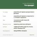 Фуксия Кустовая Southgate (0,1л) — что приедет
