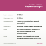 Фуксия Кустовая Southgate (0,1л) — параметры сорта