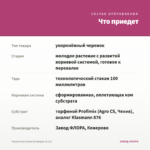 Фуксия Кустовая Southgate (0,1л) — что приедет