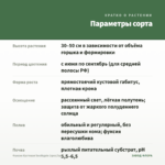 Фуксия Кустовая Southgate (срез/3шт) — параметры сорта